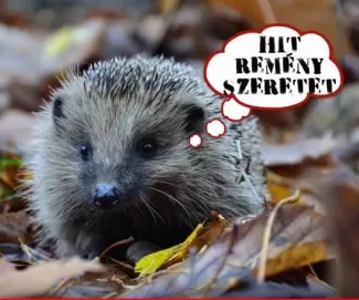 süni szóbuborékkal +hit , remény, szeretet"