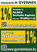 2 x 1 %