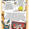 Répatorta képes receptje. Hozzávalók: 16 dkg liszt, 10 dkg cukor, 1 csom. sütőpor, 2 tojás, 1 csom. vaníliás cukor, 12 dkg tejföl, 1,5 dl olaj, 8 dkg darált dió, 1 teáskanál citromlé, csipet só és fahéj, 12 dkg reszelt sárgarépa A tetejére narancs és zöld színű marcipán. Elkészítés: A tésztához minden hozávalót egy tálba teszünk, és jól összekeverjük. Majd a masszát egy sütőpapírral bélelet magas falú tepsiben 40-50 perc alatt (160-170 fokon) megsütjük. A sütit hagyjuk kihűlni. A tetejére: ...